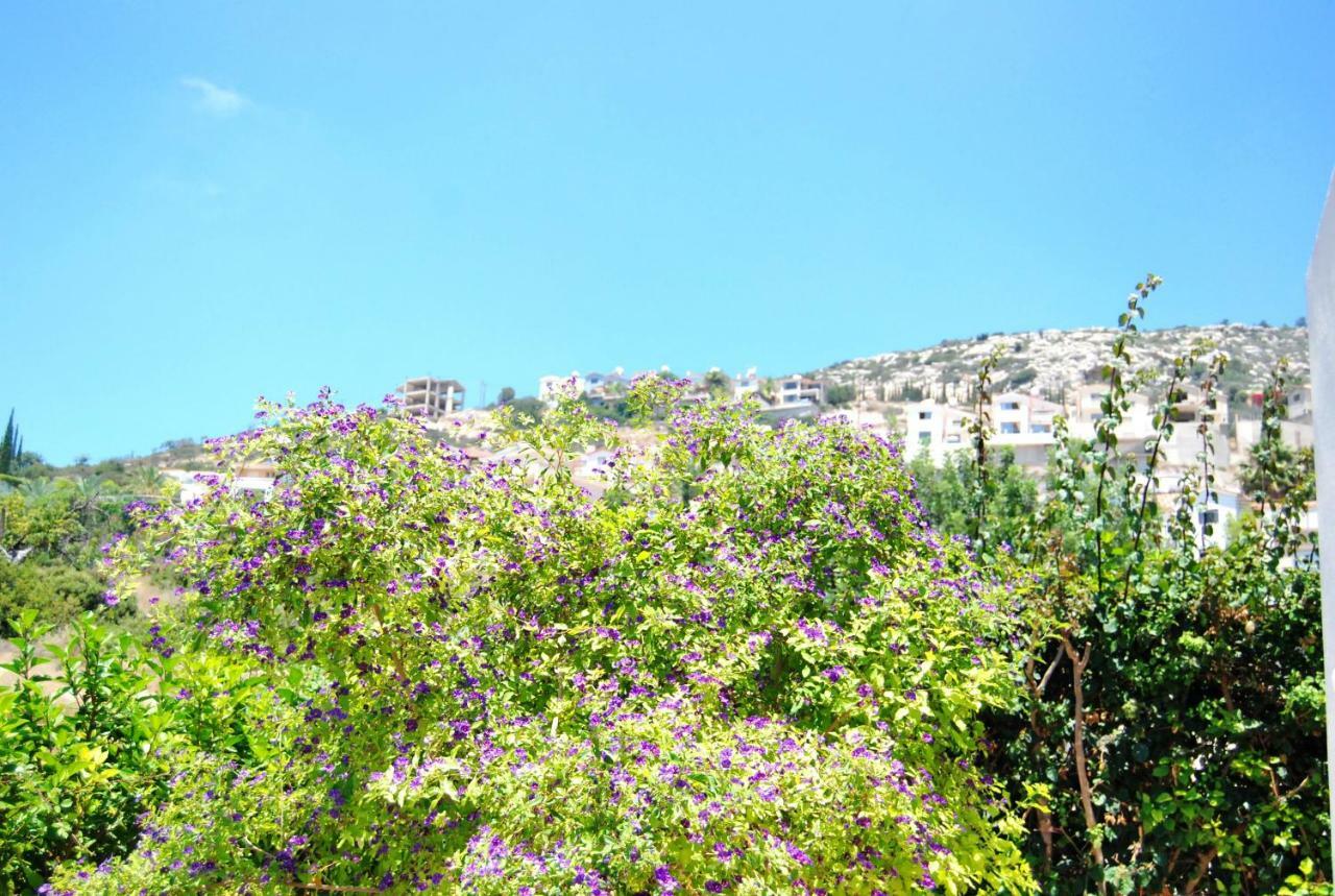 Pegia Villa Pegeia Exterior foto